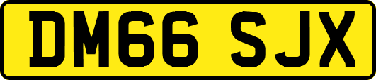 DM66SJX