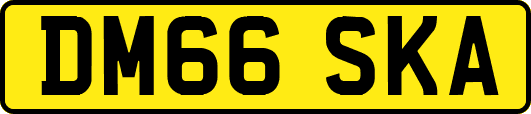 DM66SKA