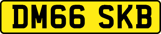 DM66SKB
