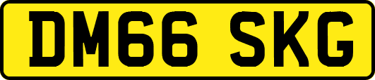 DM66SKG