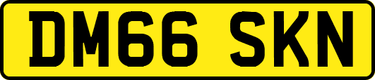 DM66SKN