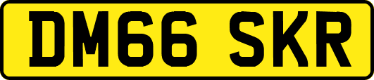 DM66SKR