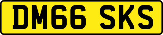 DM66SKS