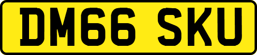 DM66SKU