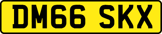 DM66SKX