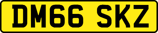DM66SKZ