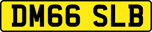 DM66SLB