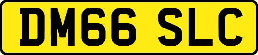 DM66SLC