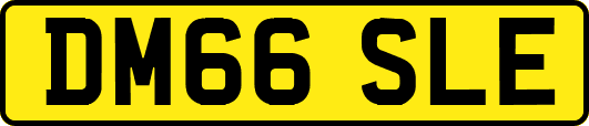DM66SLE