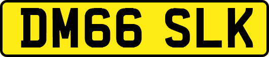 DM66SLK