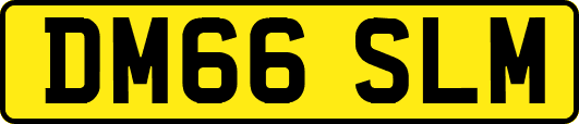 DM66SLM