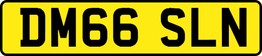 DM66SLN