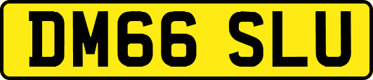 DM66SLU