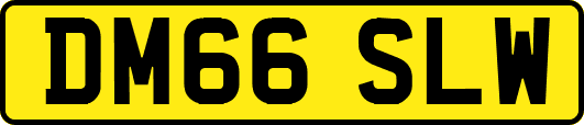 DM66SLW