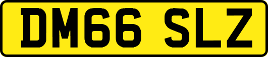 DM66SLZ