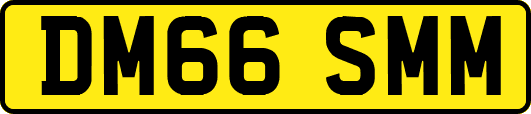 DM66SMM