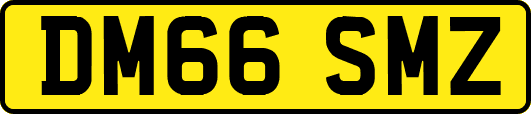 DM66SMZ