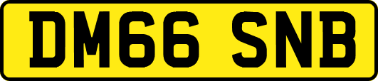 DM66SNB
