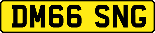 DM66SNG