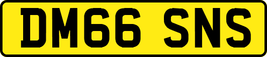 DM66SNS