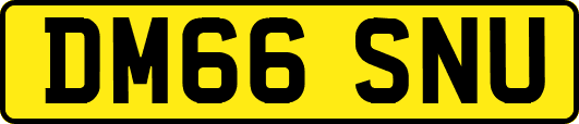 DM66SNU