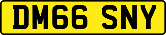 DM66SNY