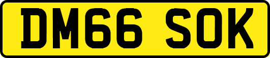DM66SOK