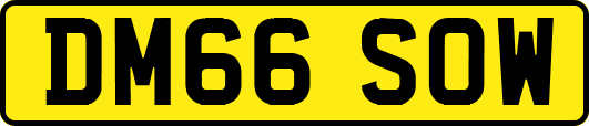 DM66SOW