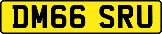 DM66SRU