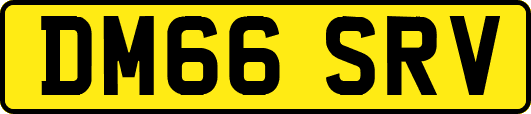 DM66SRV
