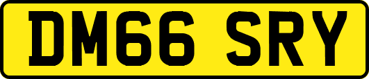 DM66SRY