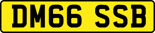 DM66SSB