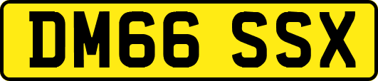 DM66SSX