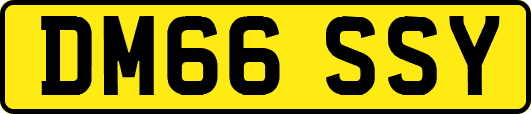 DM66SSY