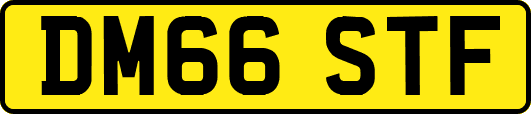 DM66STF