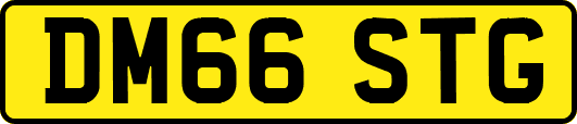 DM66STG