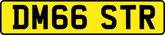 DM66STR