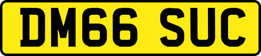 DM66SUC