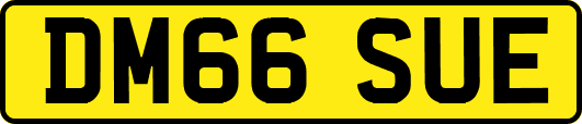 DM66SUE