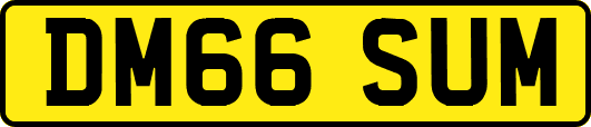 DM66SUM
