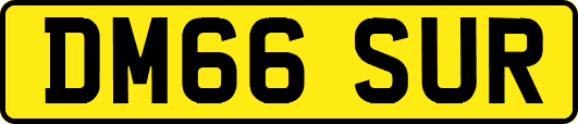DM66SUR