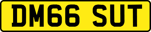 DM66SUT