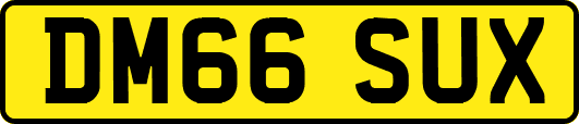 DM66SUX