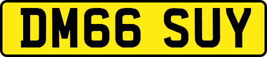 DM66SUY