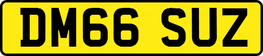 DM66SUZ