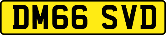DM66SVD