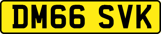 DM66SVK