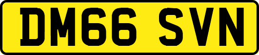 DM66SVN