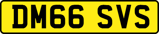DM66SVS