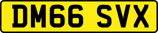 DM66SVX